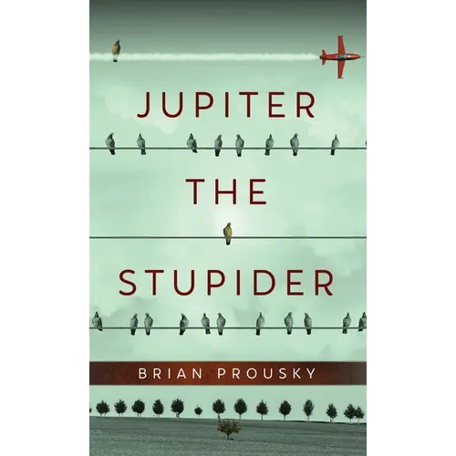 Jupiter the Stupider