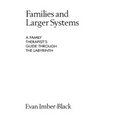Families and Larger Systems: A Family Therapist's Guide Through the Labyrinth
