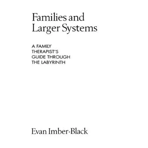 Families and Larger Systems: A Family Therapist's Guide Through the Labyrinth