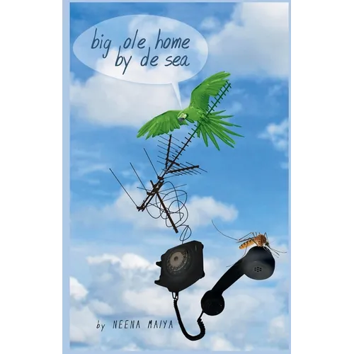 Big Ole Home By De Sea