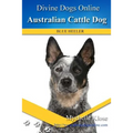 Australian Cattle Dogs: Divine Dogs Online