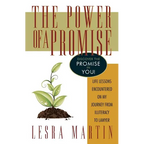 The Power of a Promise: Life Lessons Encountered on My Journey from Illiteracy to a Lawyer - Paperback