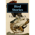 Bird Stories