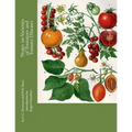 Notes on Varieties of Tomatoes and Tomato Diseases