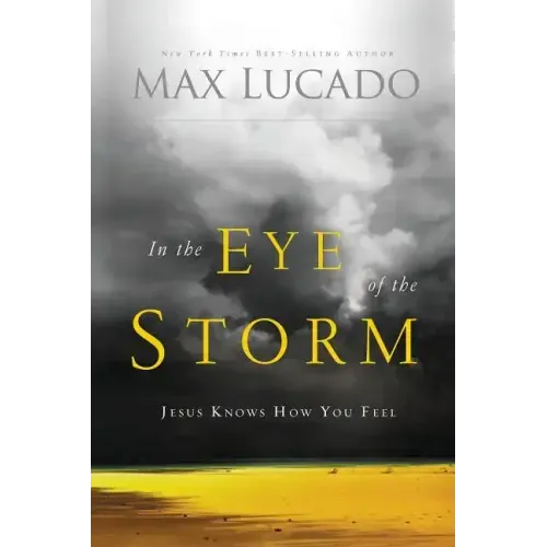 In the Eye of the Storm: Jesus Knows How You Feel