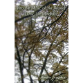 Into the Music of the World: Living Life Mindfully