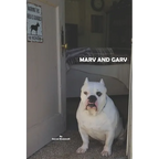 Marv and Garv - Paperback