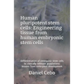 Human Pluripotent Stem Cells: Engineering Tissue from Human Embryonic Stem Cells: Differentiation of Embryonic Stem Cells to Clinically Relevant Pop