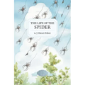The Life of the Spider