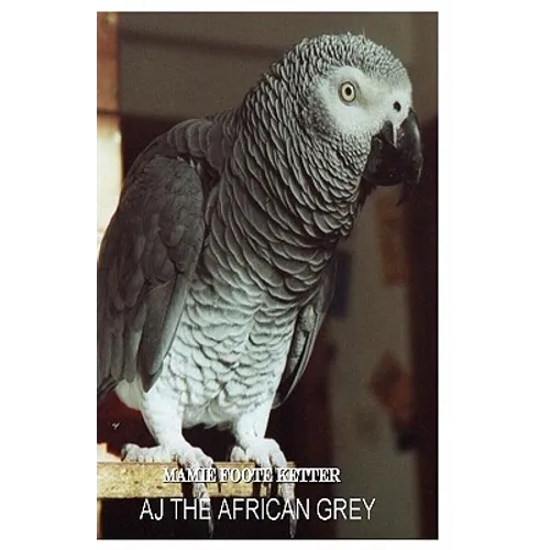 AJ The African Grey