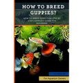 How to Breed Guppies?: How To Breed Guppy Fish Step by Step Complete Guide For Begineers