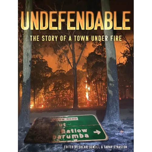 Undefendable: The Story of a Town Under Fire