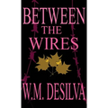 Between The Wires