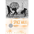 Space Walk