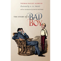 The Story of a Bad Boy