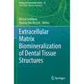 Extracellular Matrix Biomineralization of Dental Tissue Structures