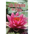 Life Between the Poles
