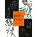 The Human Figure: An Anatomy for Artists