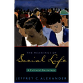The Meanings of Social Life: A Cultural Sociology