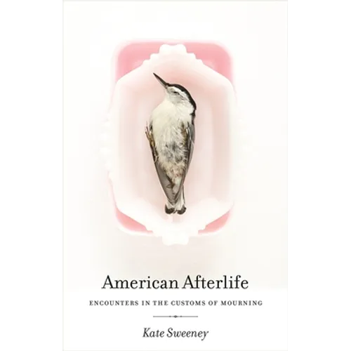 American Afterlife: Encounters in the Customs of Mourning