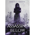 Assassins Below: Tales from Haven City