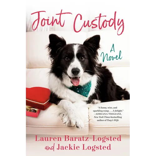 Joint Custody
