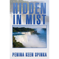 Hidden in Mist