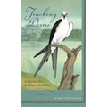 Tracking Desire: A Journey After Swallow-Tailed Kites