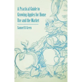 A Practical Guide to Growing Apples for Home Use and the Market