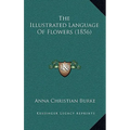 The Illustrated Language Of Flowers (1856)