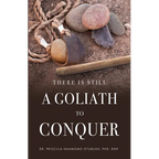 There is Still a Goliath to Conquer