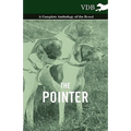 The Pointer - A Complete Anthology of the Breed