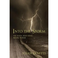 Into the Storm