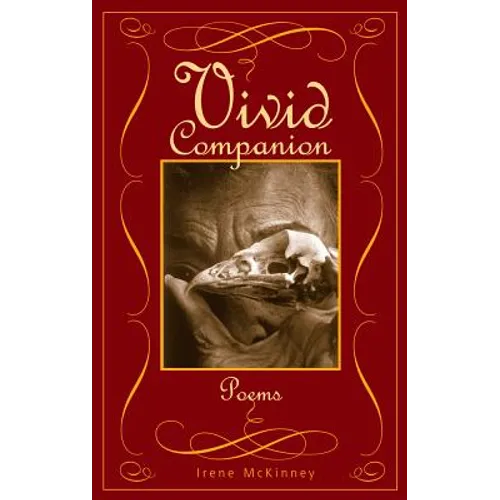 Vivid Companion