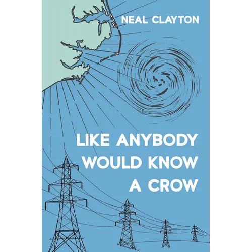 Like Anybody Would Know a Crow