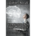 Workings of a Bipolar Mind 1-7 Omnibus: The Inner Mind of someone with Bipolar Disorder