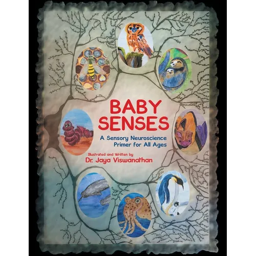 Baby Senses: A Sensory Neuroscience Primer for All Ages