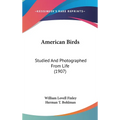 American Birds: Studied And Photographed From Life (1907)