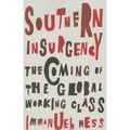 Southern Insurgency: The Coming of the Global Working Class