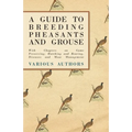 A Guide to Breeding Pheasants and Grouse - With Chapters on Game Preserving, Hatching and Rearing, Diseases and Moor Management