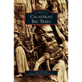 Calaveras Big Trees