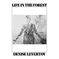 Life in the Forest