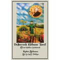 DeSavyok Elfhame Tarot Special Edition Guidebook