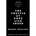 The Trestle At Pope Lick Creek