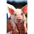 Modern Pig Keeping
