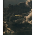 Anxiety: Meditations on the Anxious Mind
