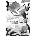 Transscalar Critique: Climate, Blackness, Crisis
