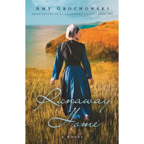 Runaway Home: A Contemporary Amish Romance