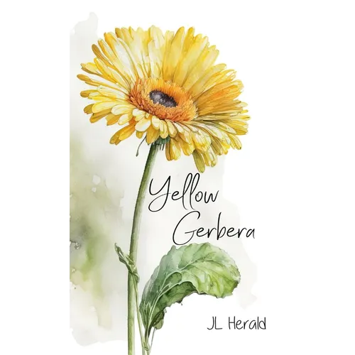 Yellow Gerbera