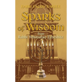 Sparks of Wisdom: from Rabbi Yehonatan Eybeshitz
